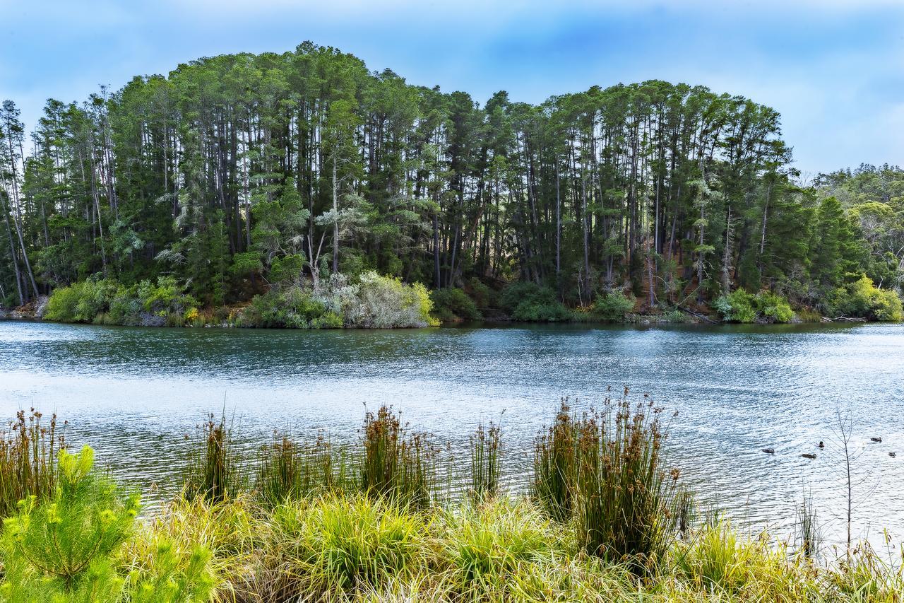 The Sebel Creswick Forest Resort Exterior foto
